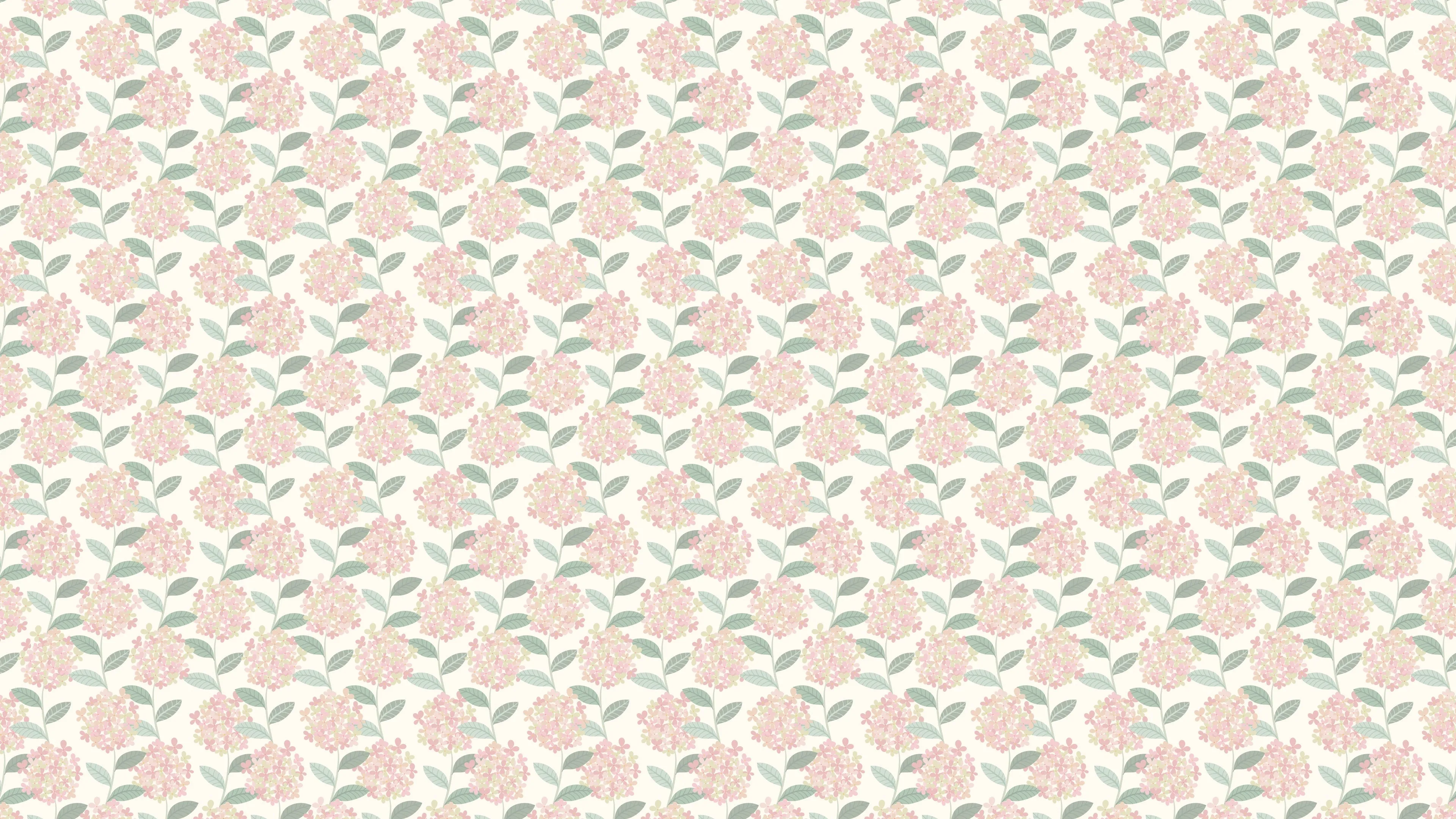 Hortensia - Rosa